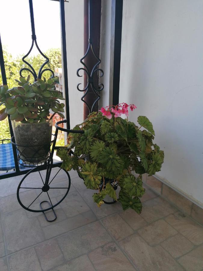 Villa Steffi Golden Sands Esterno foto
