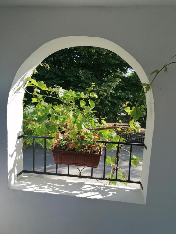 Villa Steffi Golden Sands Esterno foto