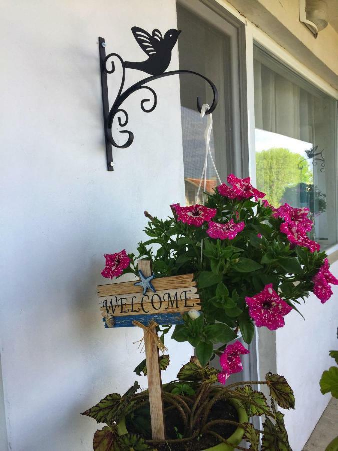 Villa Steffi Golden Sands Esterno foto